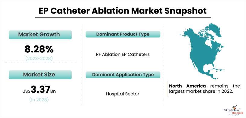 Ep Catheter Ablation Market Snapshot